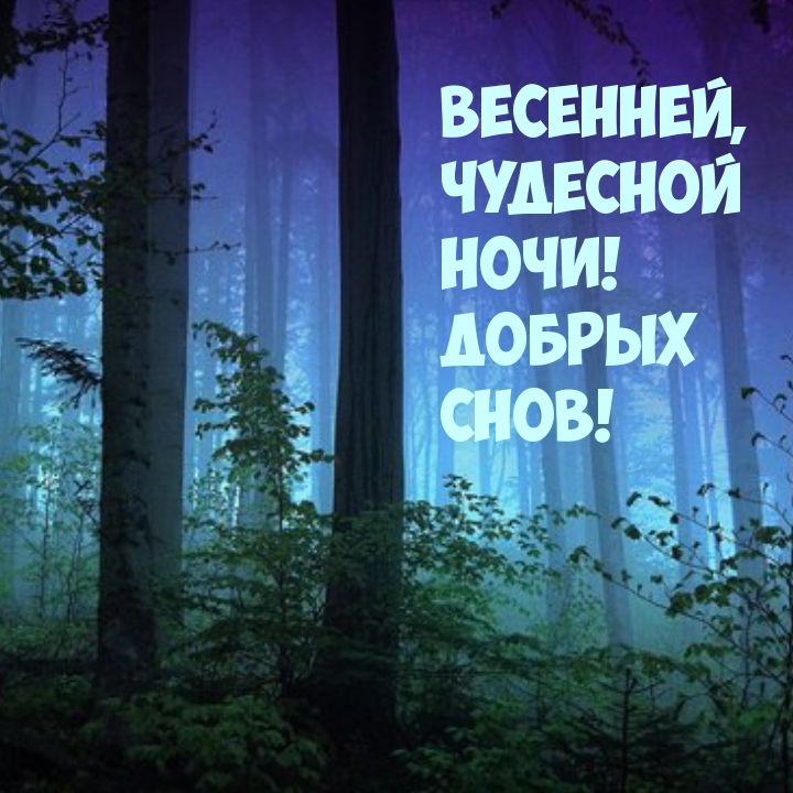 Весенней, чудесной ночи! Добрых снов! 