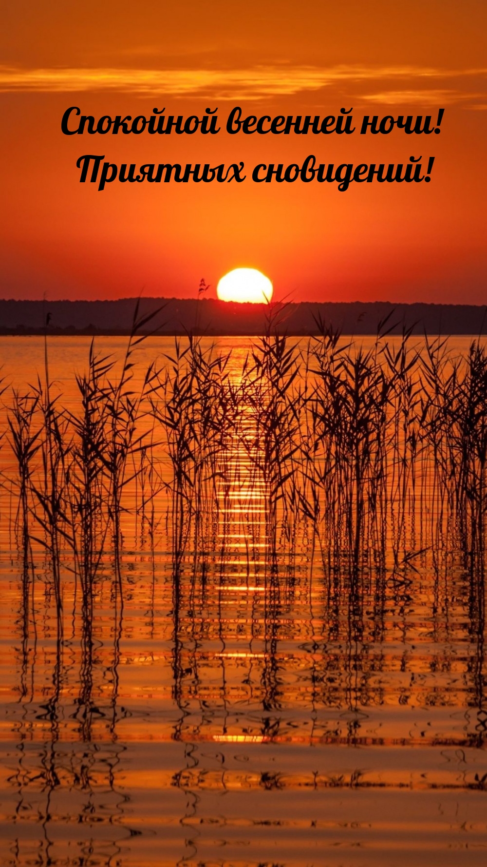 Спокойной весенней ночи! Приятных сновидений!