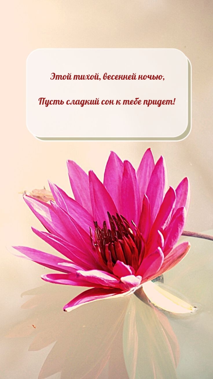 Этой тихой, весенней ночью, пусть сладкий сон к тебе придет! 