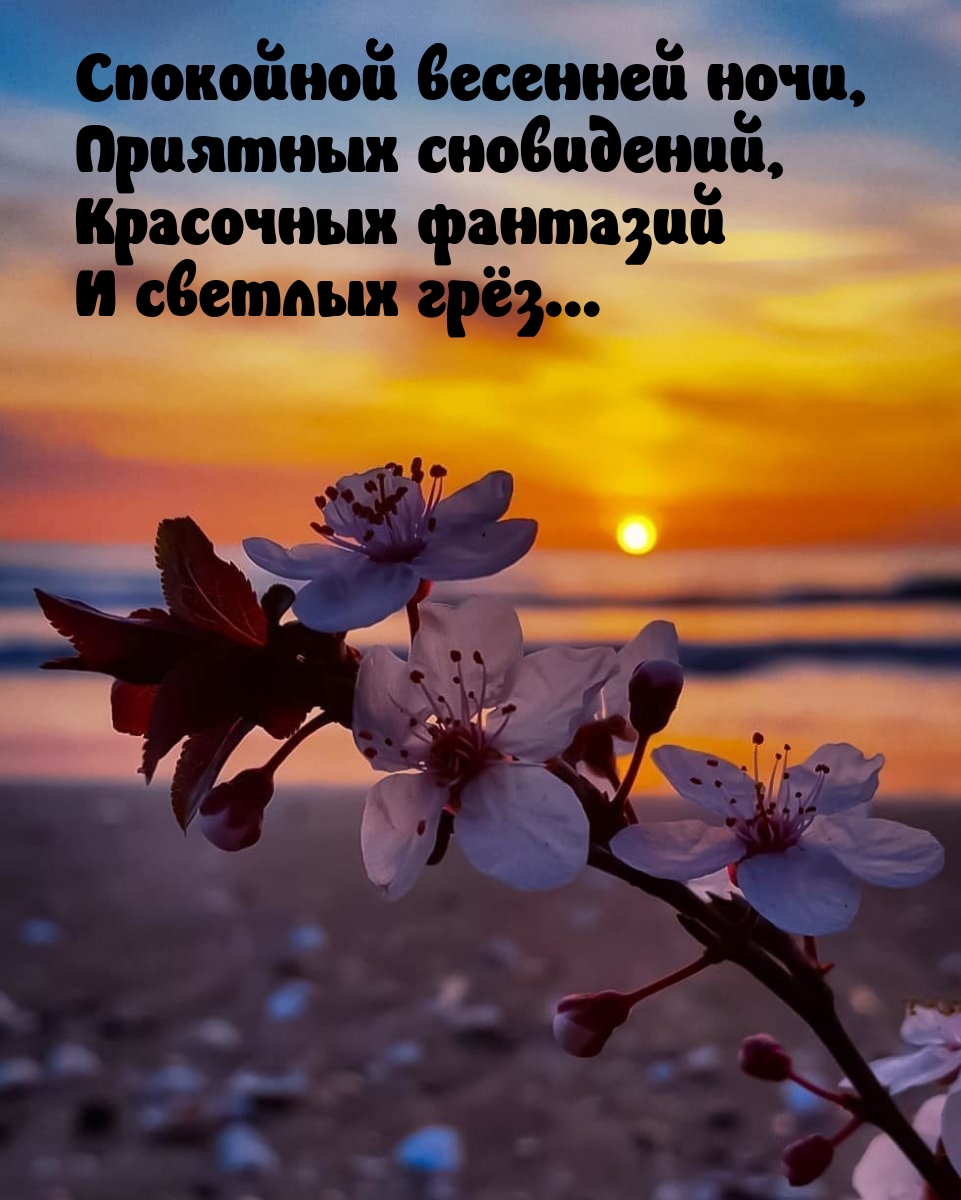 Спокойной весенней ночи, приятных сновидений