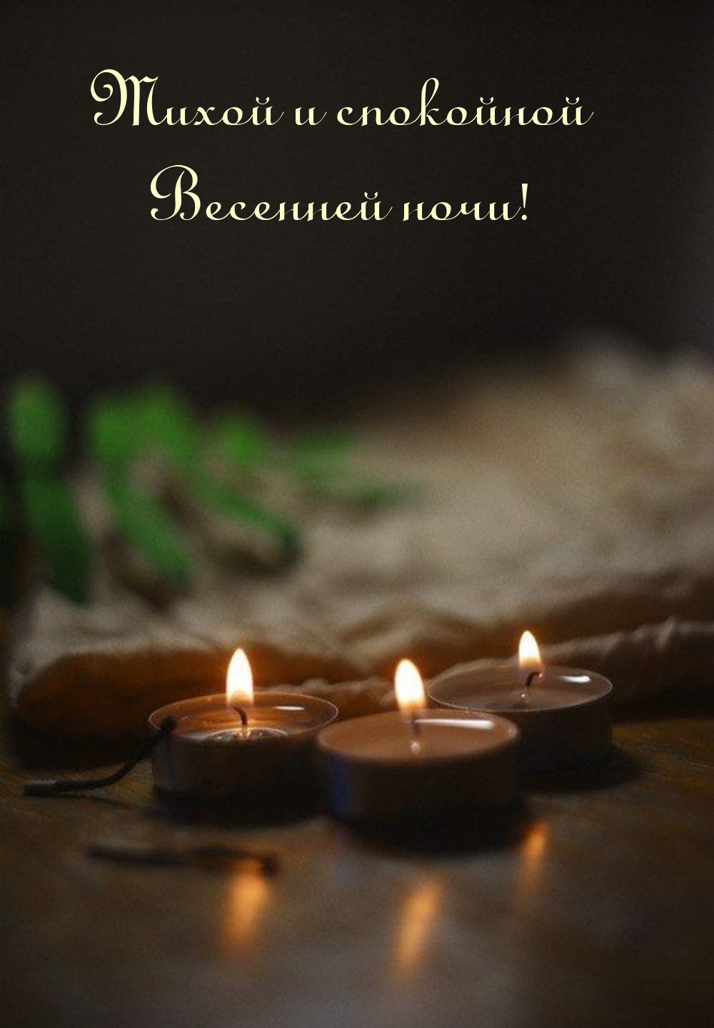 Тихой и спокойной весенней ночи!