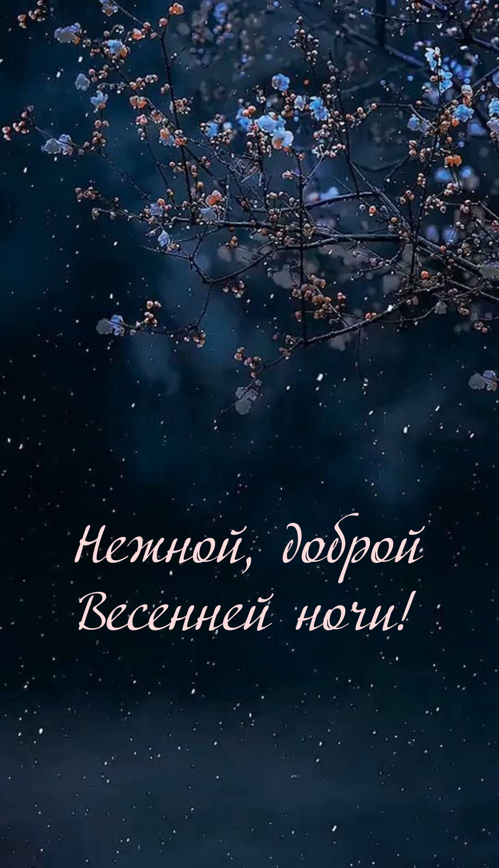 Нежной, доброй весенней ночи!