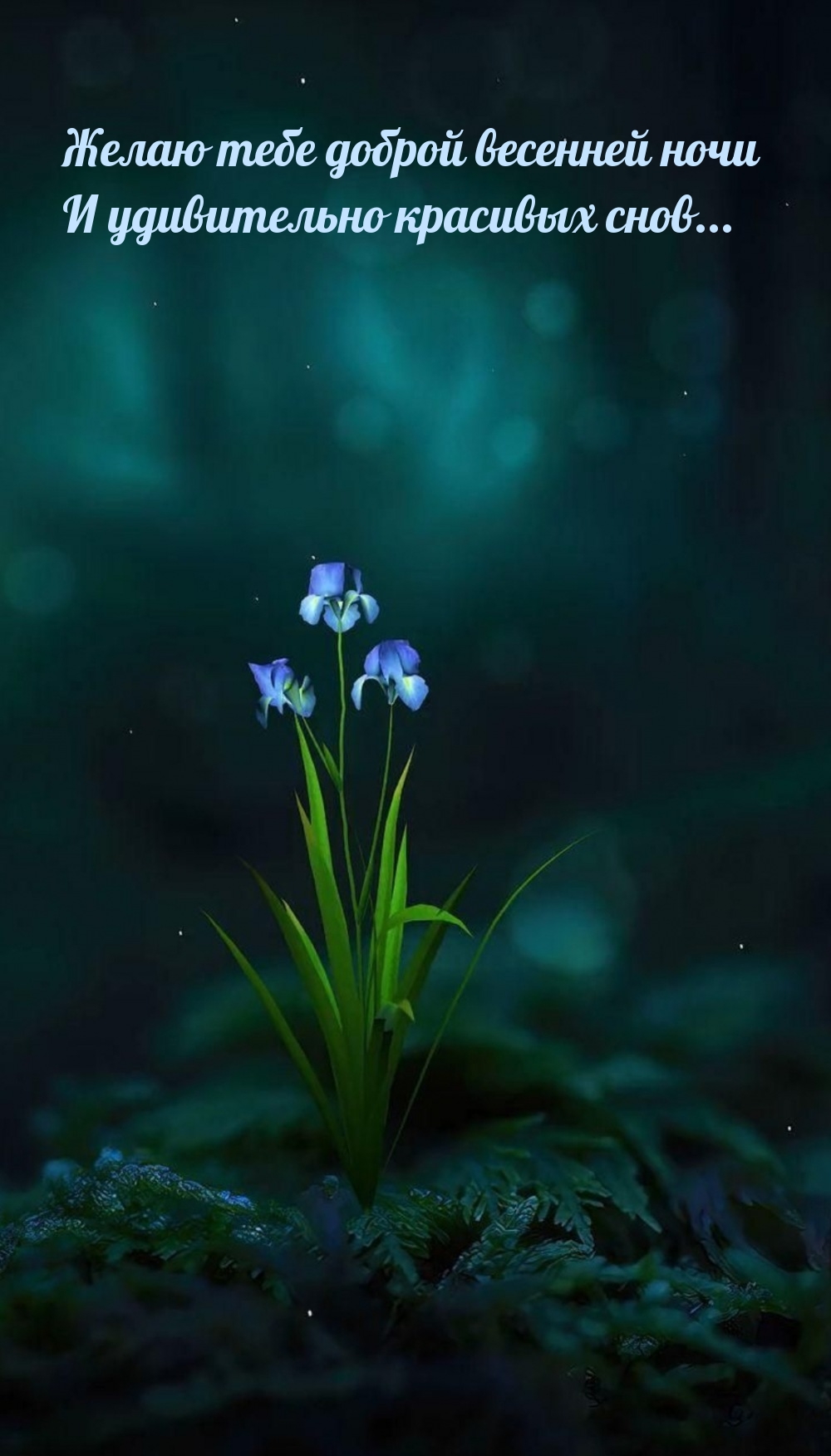 Желаю тебе доброй весенней ночи и удивительно красивых снов...