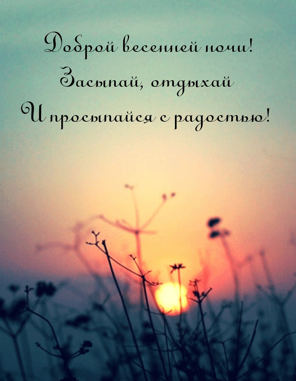 Доброй весенней ночи! Засыпай, отдыхай и просыпайся с радостью!