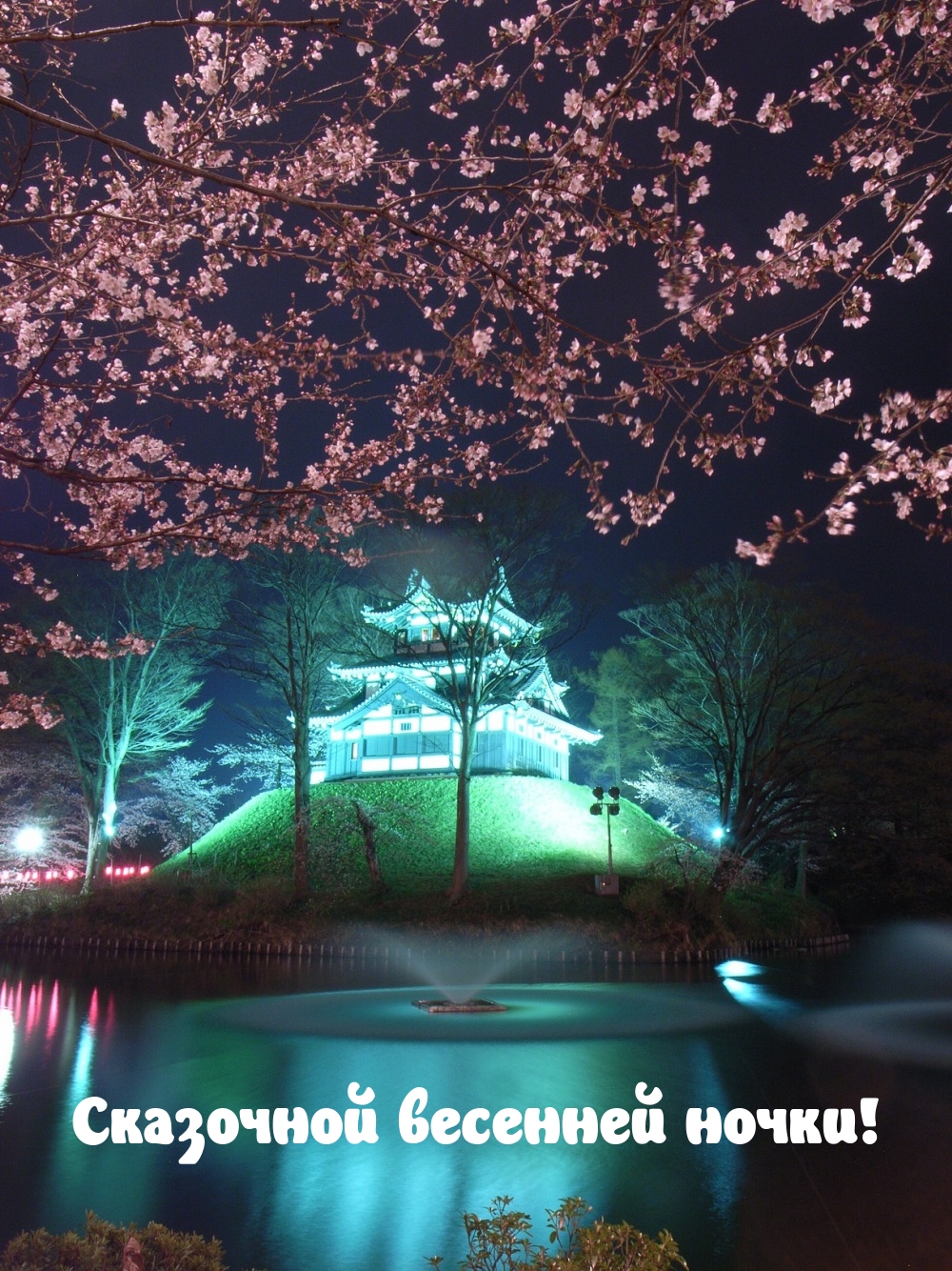 Сказочной весенней ночки!