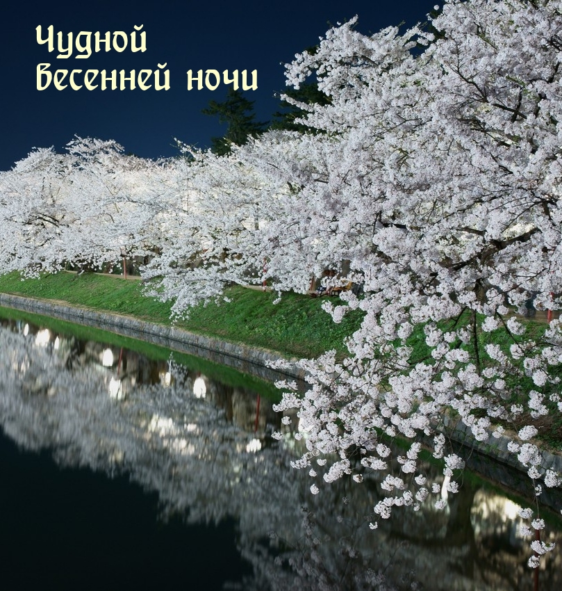 Чудной весенней ночи