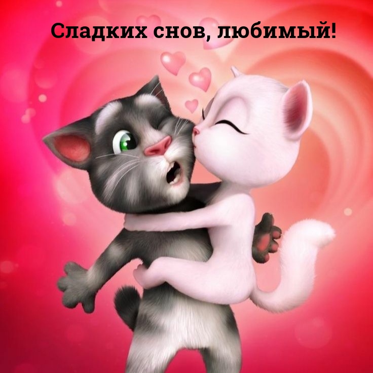 Сладких снов, любимый!