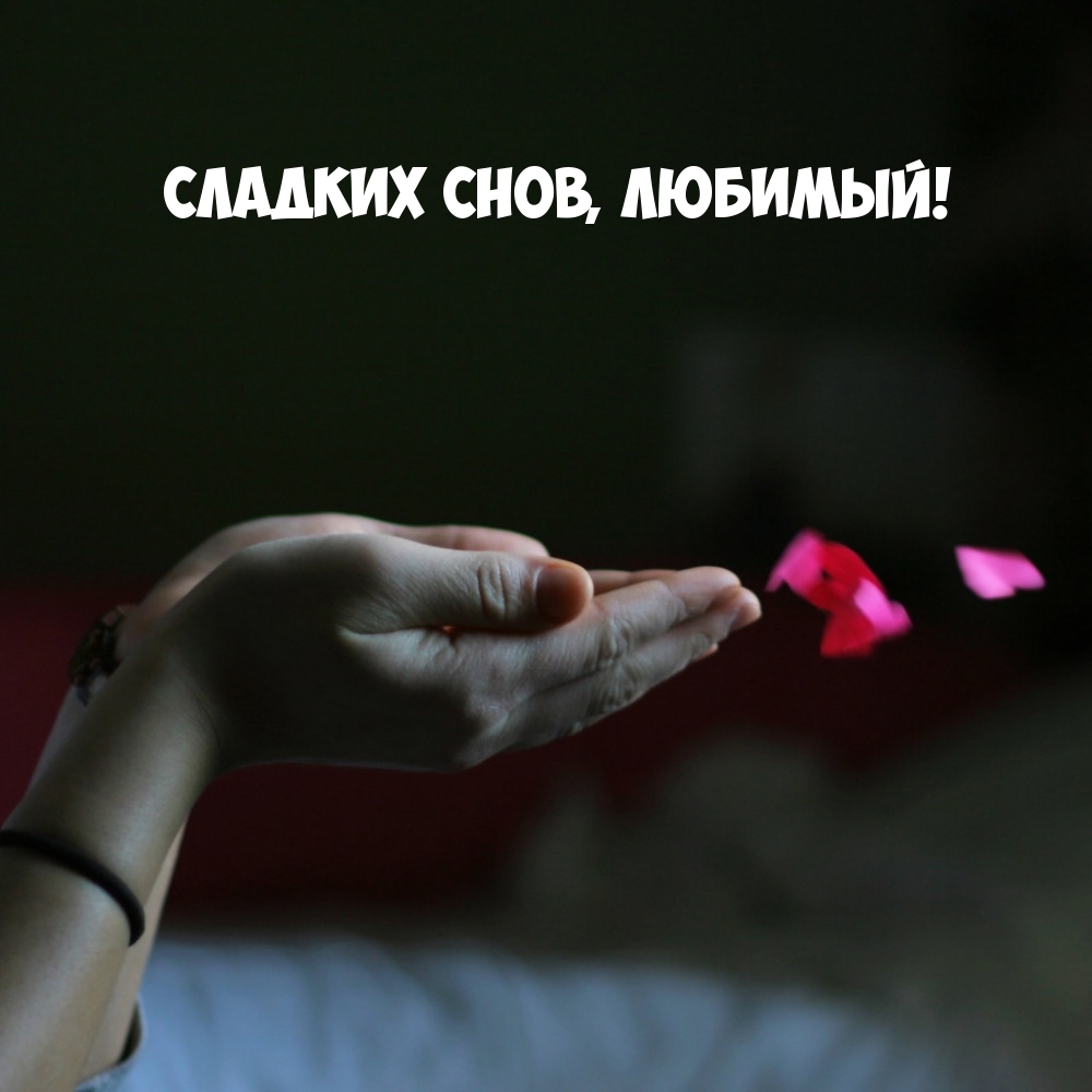 Сладких снов, любимый!