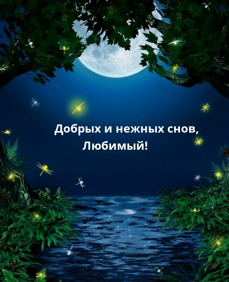 Добрых и нежных снов, Любимый!