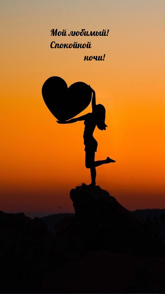 Мой любимый! Спокойной ночи!