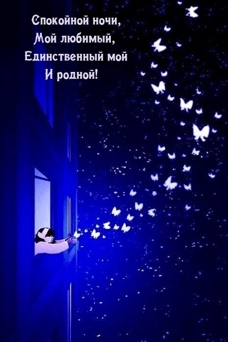 Спокойной ночи, мой любимый, единственный мой и родной!
