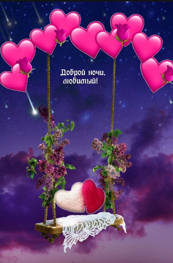 Доброй ночи, любимый!