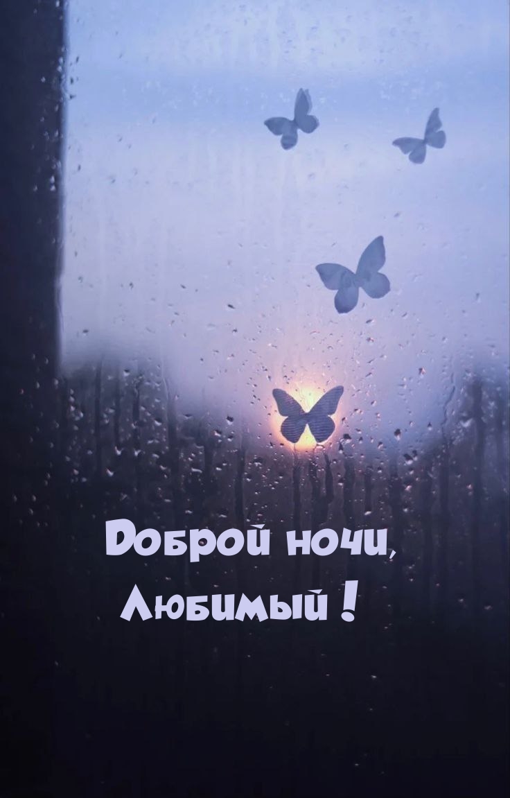 Доброй ночи, Любимый!