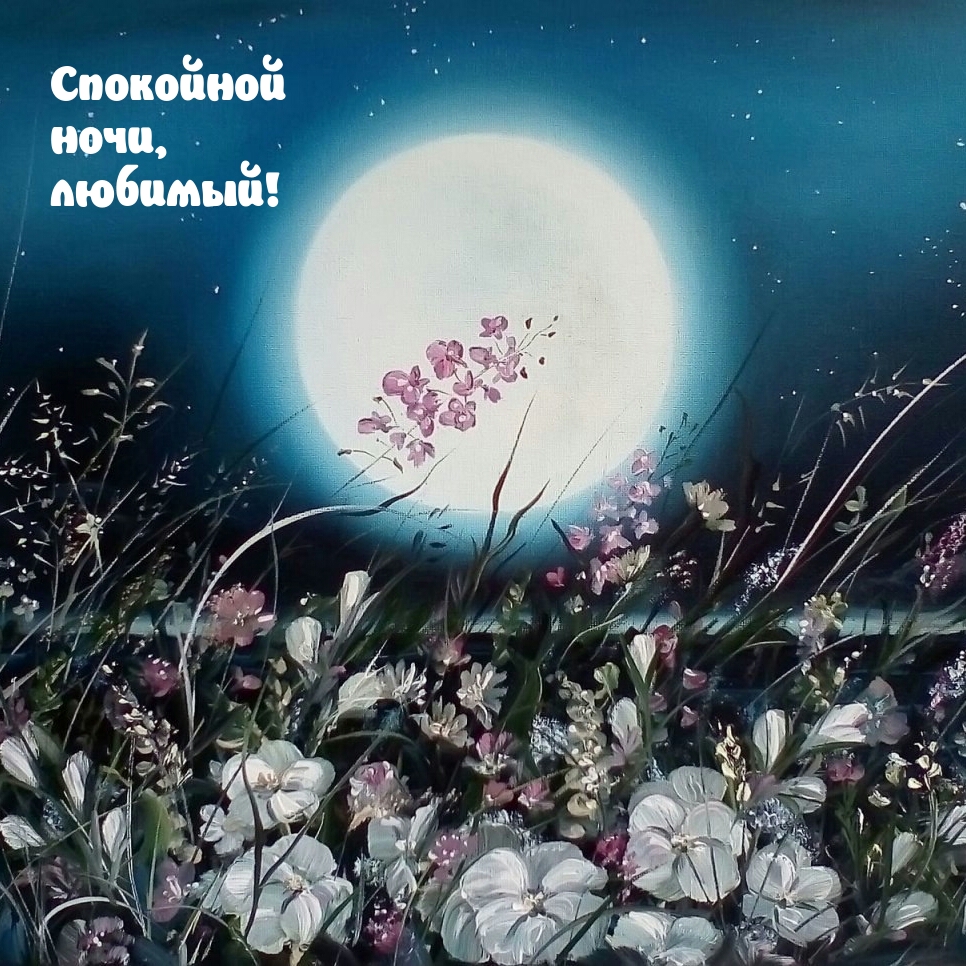 Спокойной ночи, любимый!