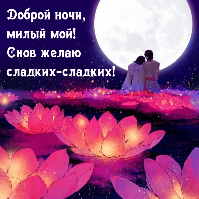 Доброй ночи, милый мой! Снов желаю сладких-сладких!