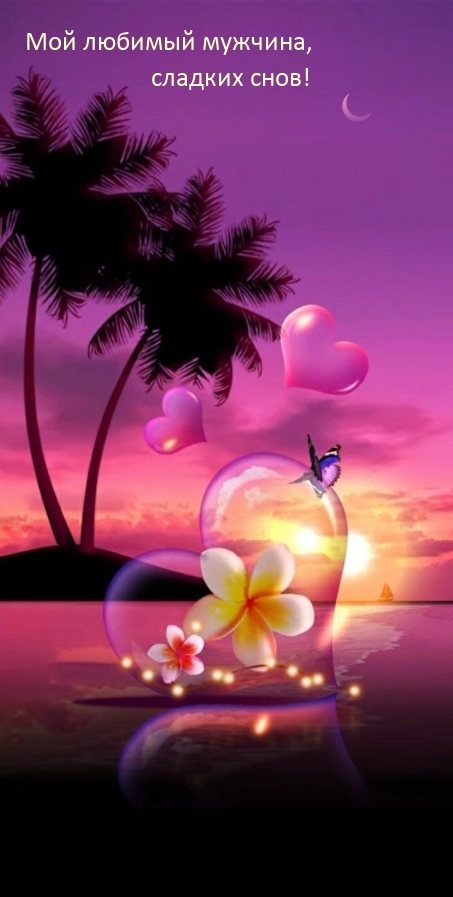 Мой любимый мужчина, сладких снов! 