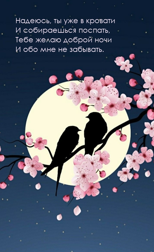 Надеюсь, ты уже в кровати и собираешься поспать