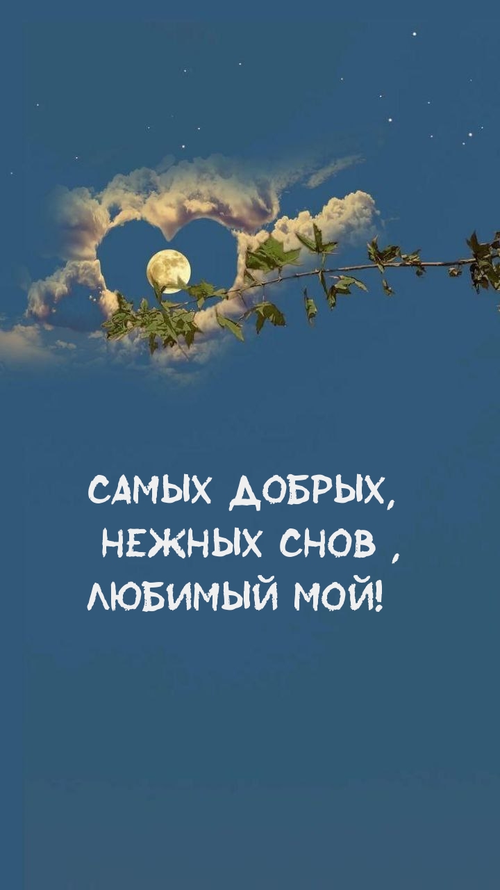 Самых добрых, нежных снов, любимый мой!