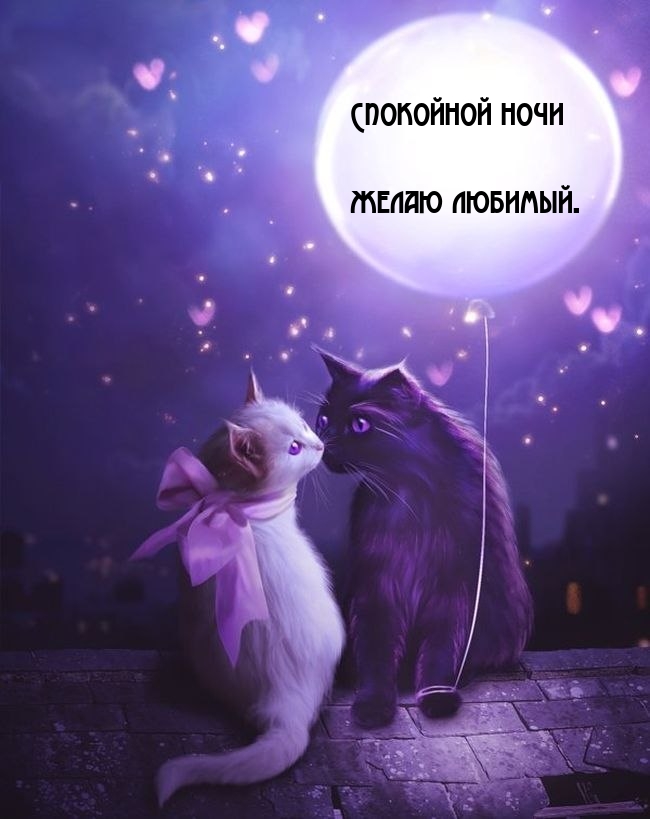 Спокойной ночи желаю любимый.