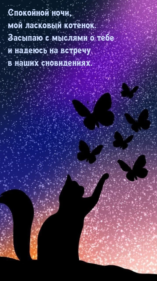 Спокойной ночи, мой ласковый котенок