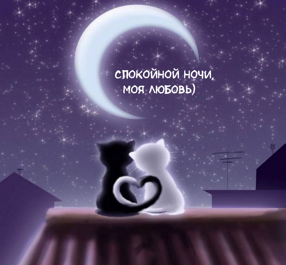 Спокойной ночи, Моя любовь)