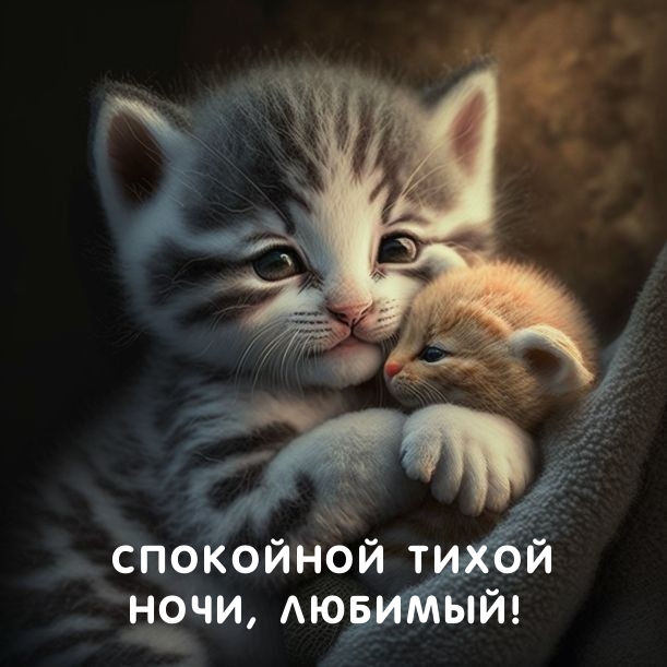 Спокойной тихой ночи, любимый!