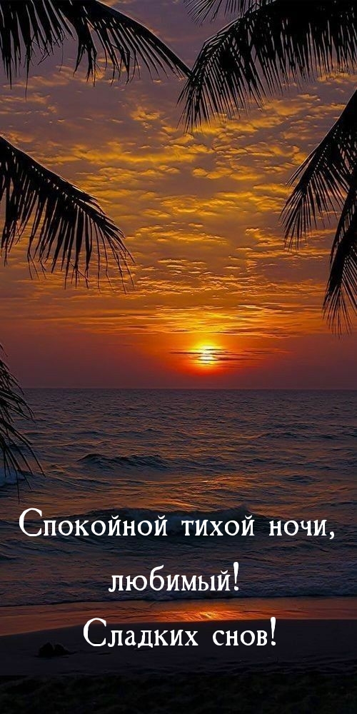 Спокойной тихой ночи, любимый! Сладких снов! 