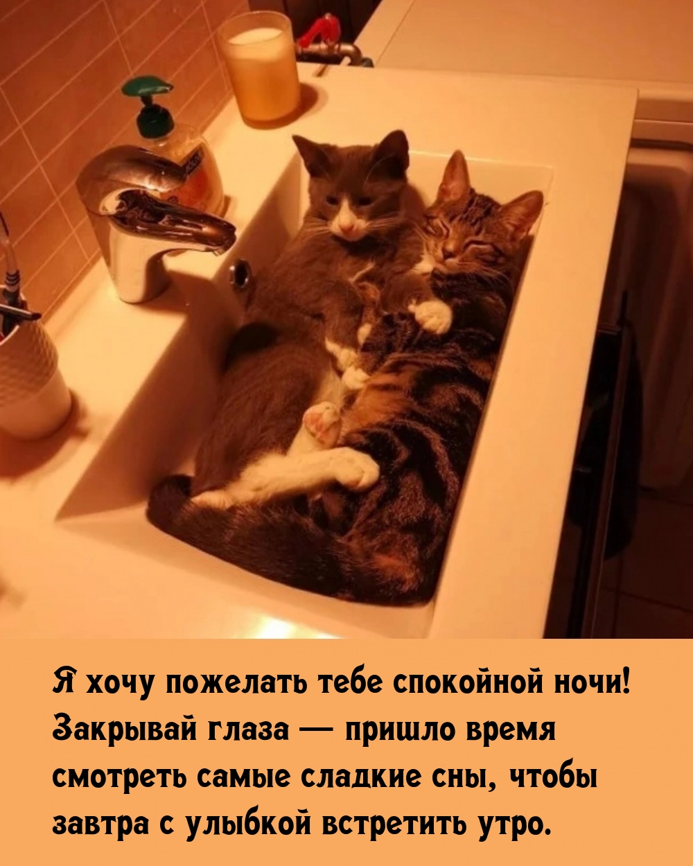 Я хочу пожелать тебе спокойной ночи!