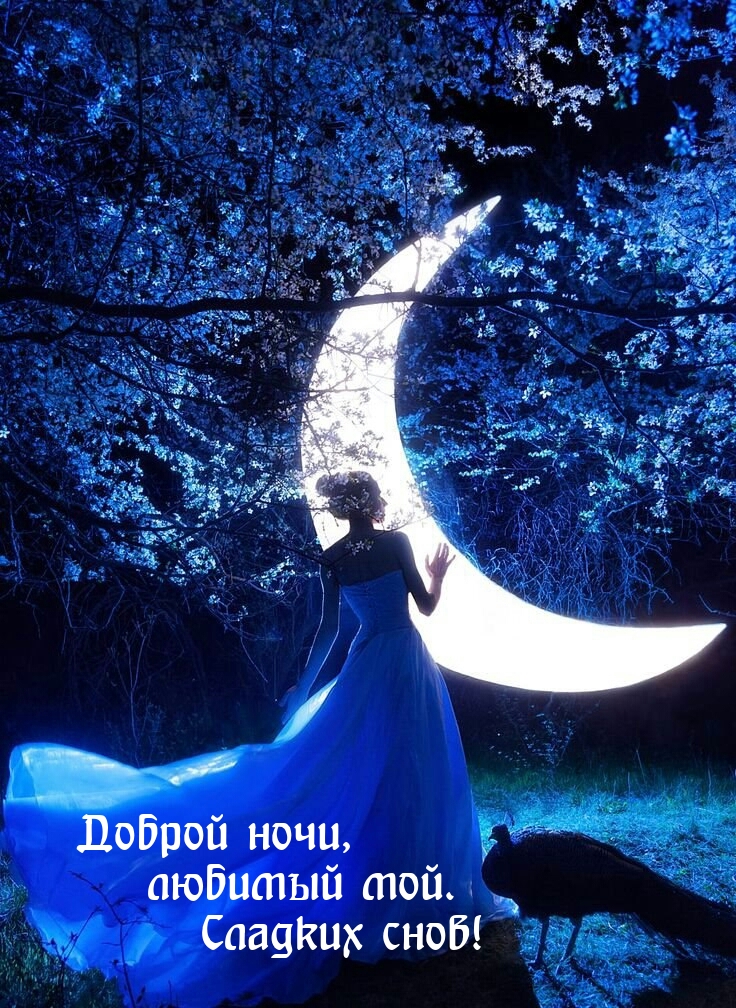  Доброй ночи, любимый мой. Сладких снов!