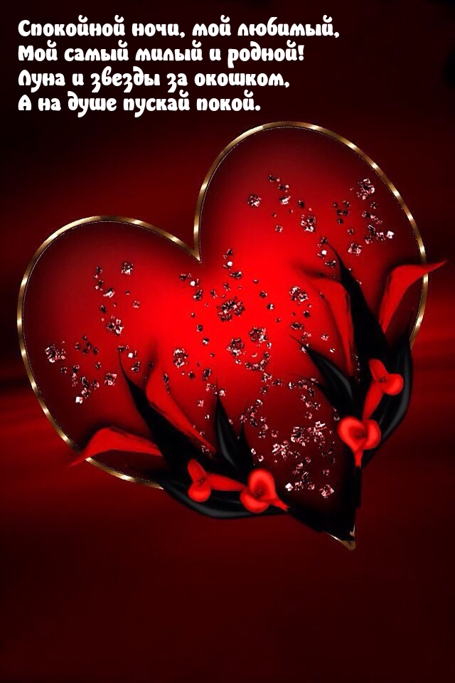 Спокойной ночи, мой любимый, мой самый милый и родной!