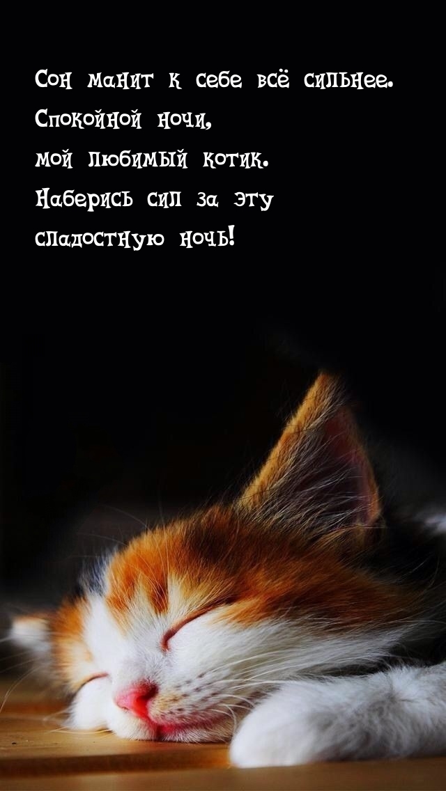 Сон манит к себе всё сильнее. Спокойной ночи