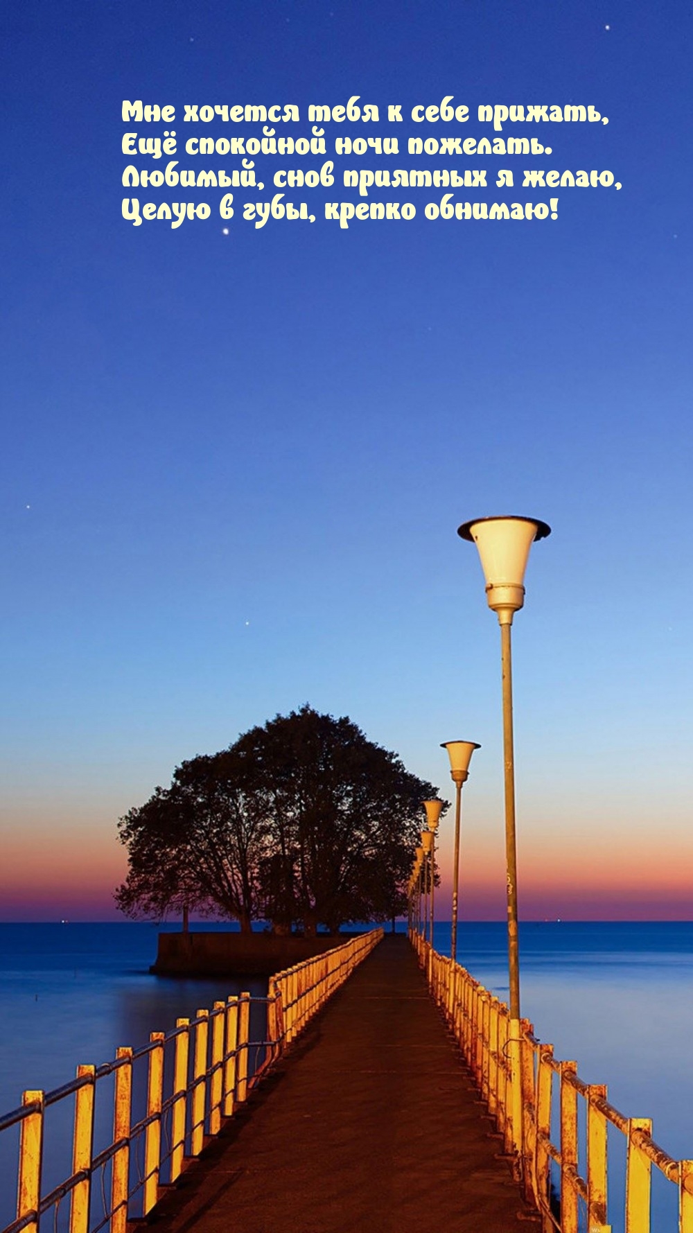 Любимый, снов приятных я желаю, целую в губы, крепко обнимаю!