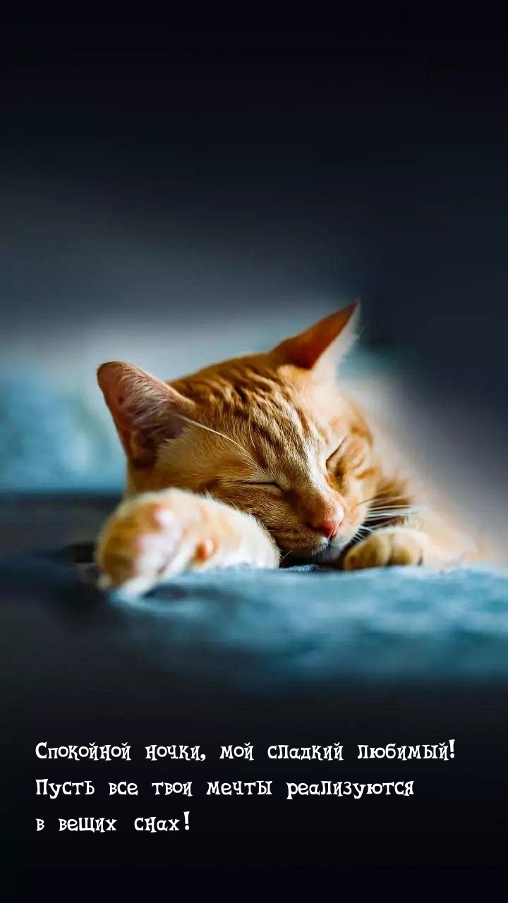 Спокойной ночки, мой сладкий любимый!