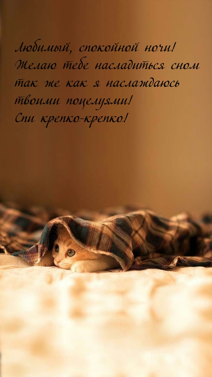 Любимый, спокойной ночи! Желаю тебе насладиться сном 