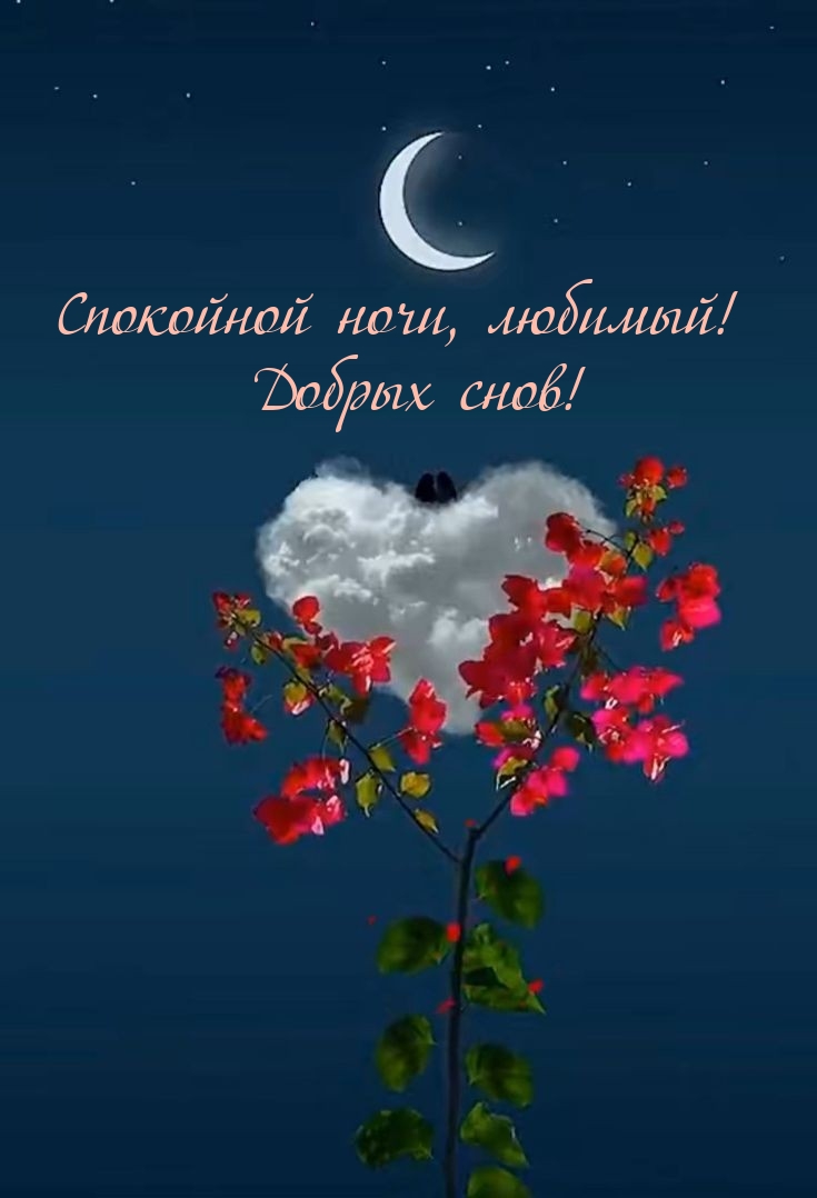 Спокойной ночи, любимый! Добрых снов!