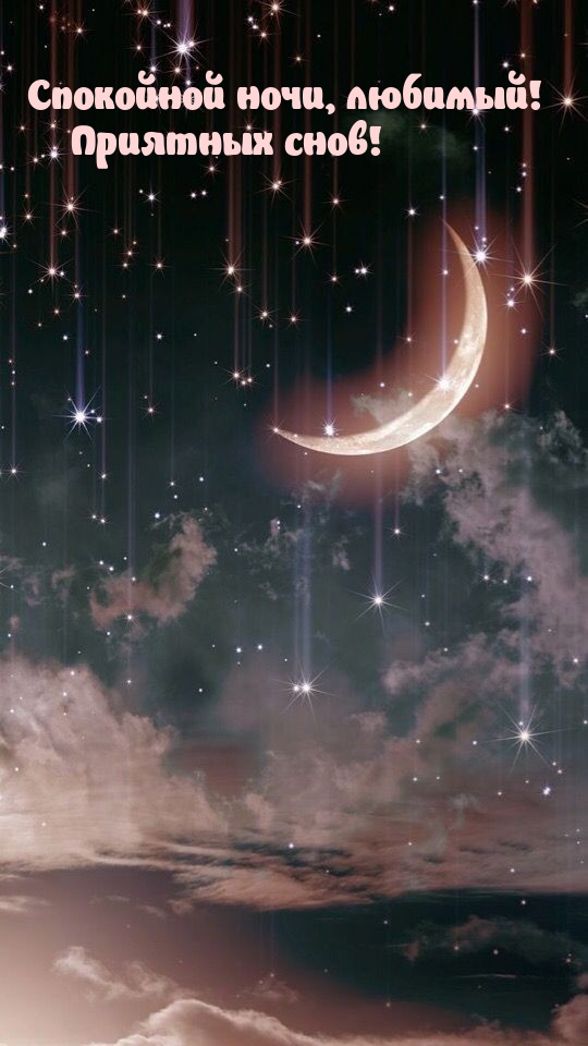 Спокойной ночи, любимый! Приятных снов!