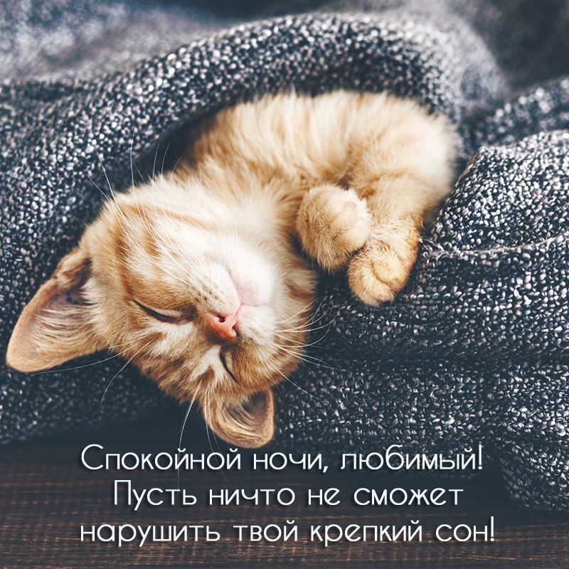 Спокойной ночи, любимый! Пусть ничто не сможет нарушить крепкий сон!