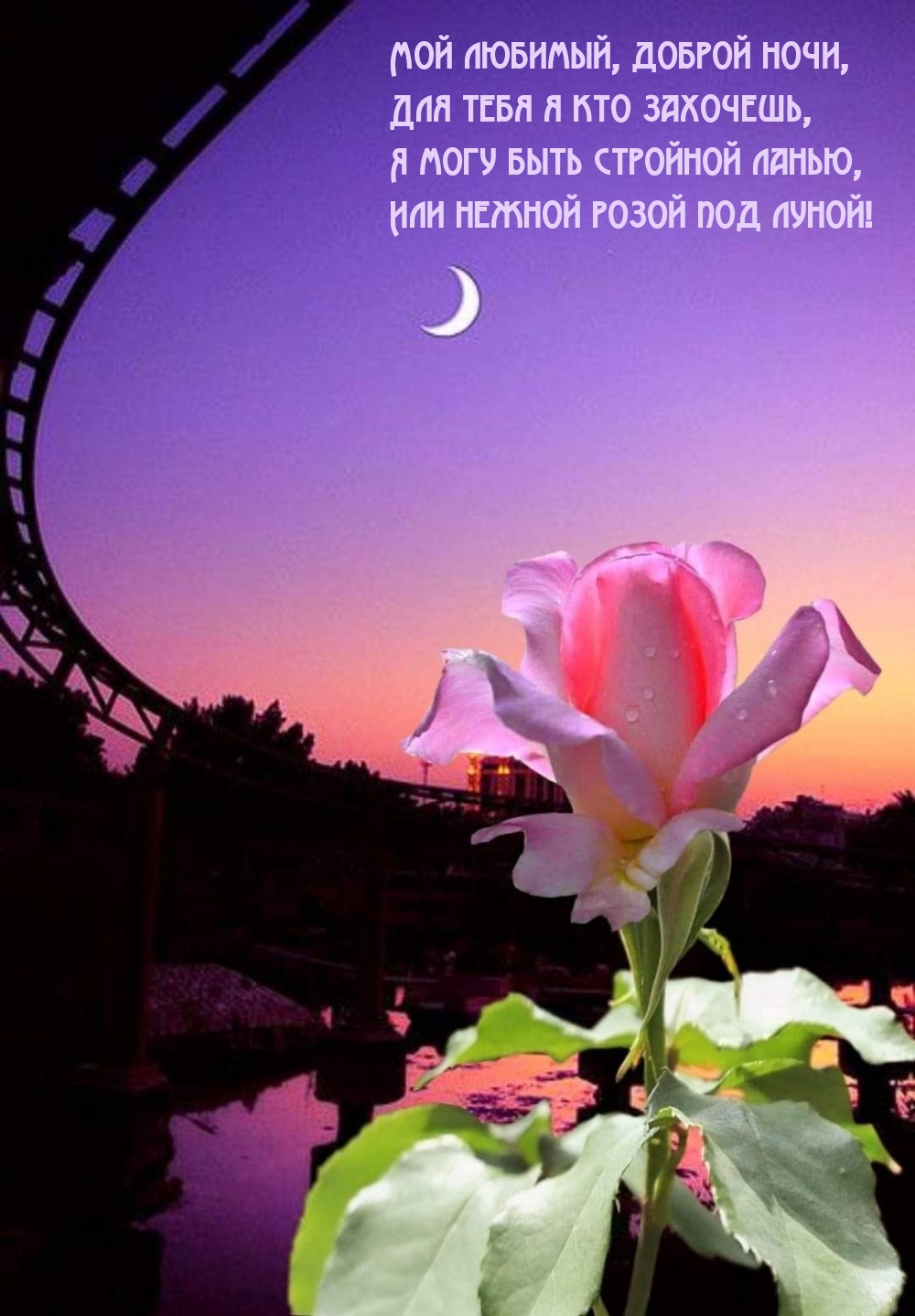 Мой любимый, доброй ночи, для тебя я кто захочешь