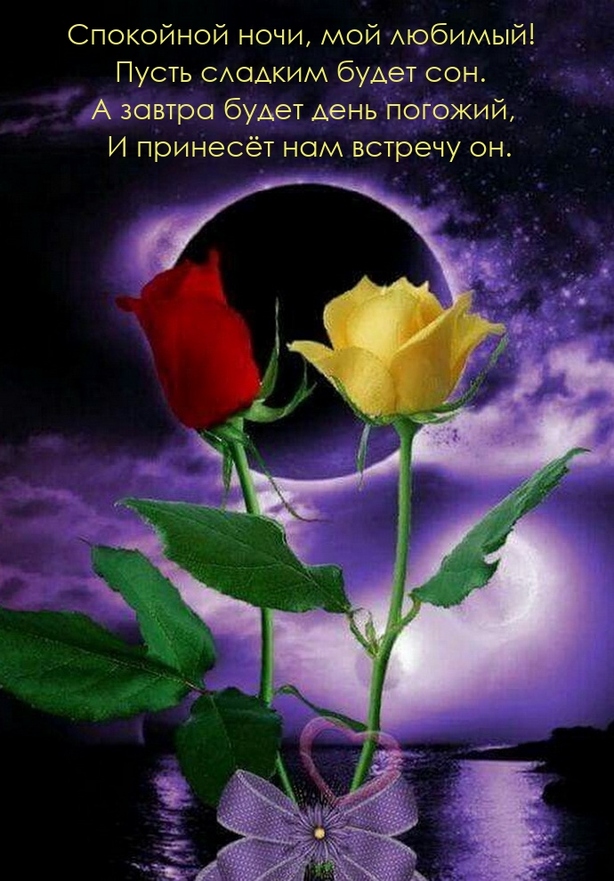 Спокойной ночи, мой любимый! Пусть сладким будет сон.