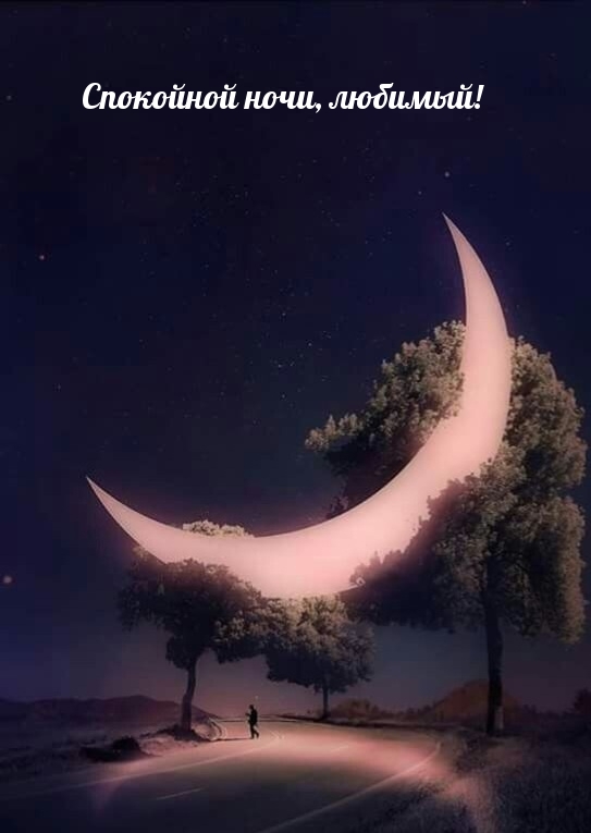 Спокойной ночи, любимый!