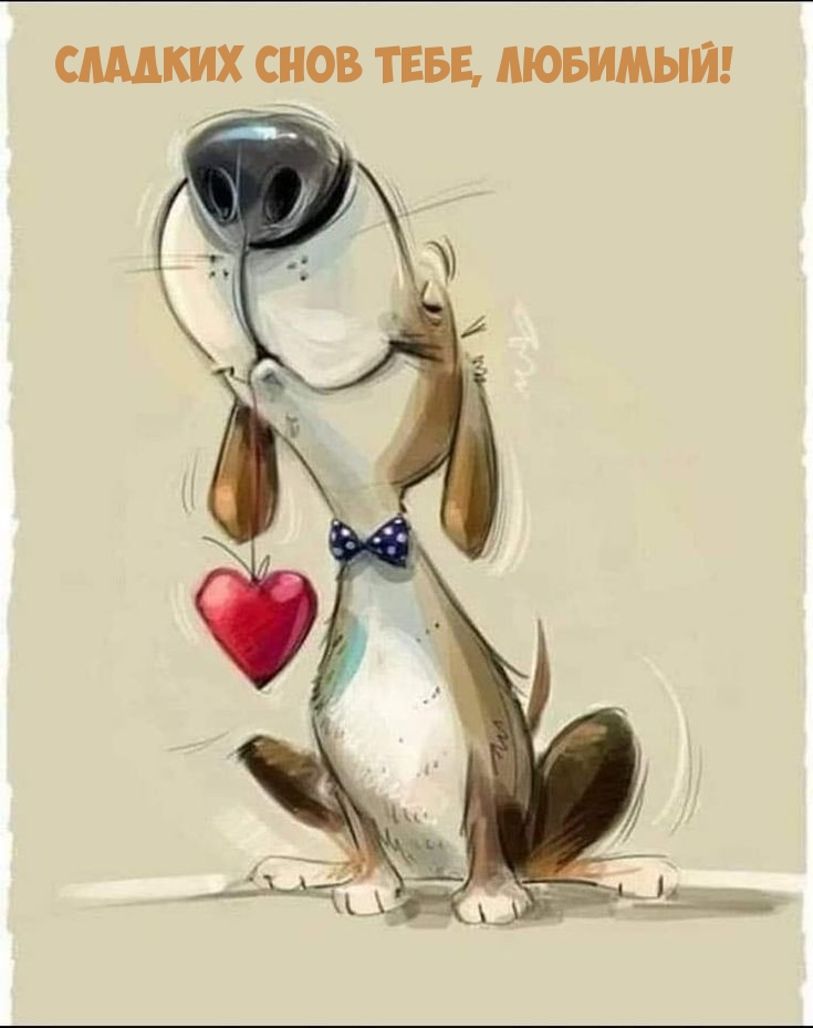 Сладких снов тебе, любимый!