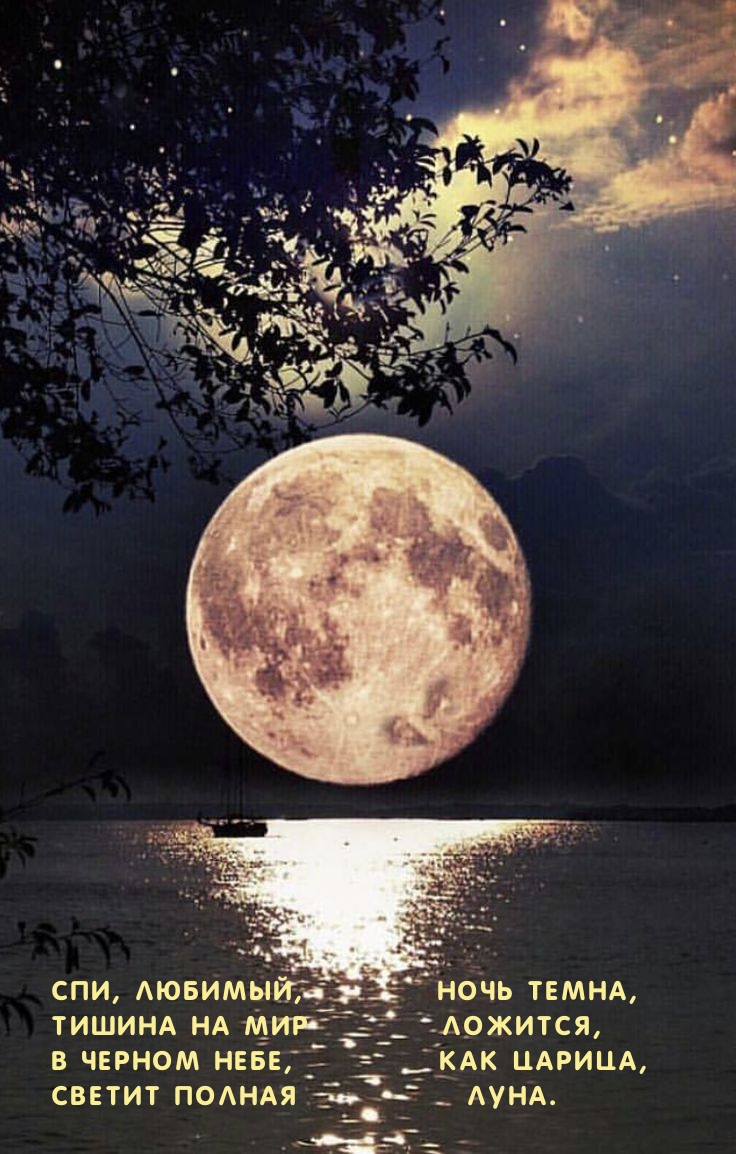 Спи, любимый, ночь темна, тишина на мир ложится