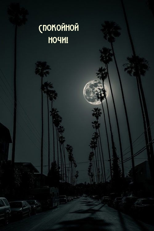 Спокойной ночи!
