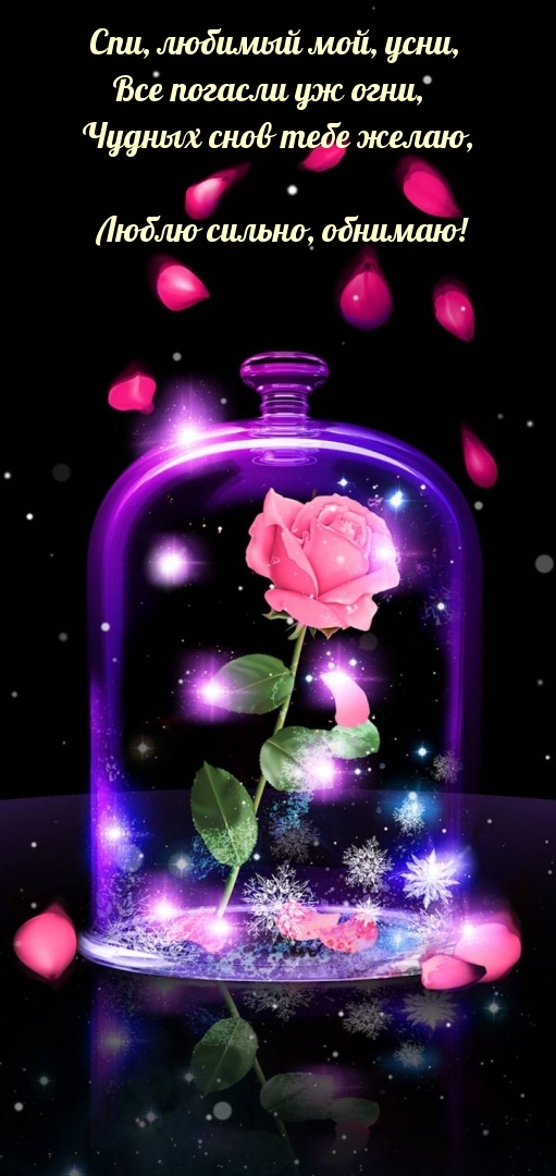 Спи, любимый мой, усни, все погасли уж огни