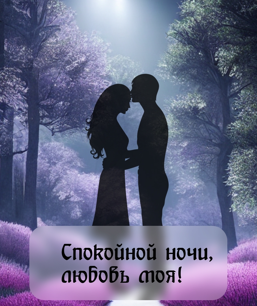 Спокойной ночи, любовь моя!
