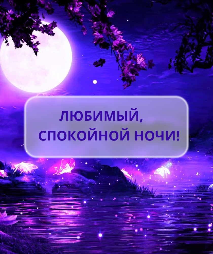 Любимый, спокойной ночи!