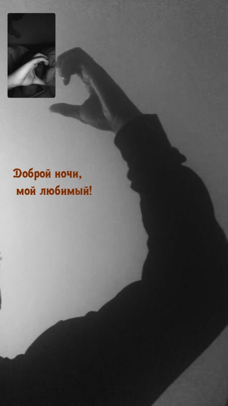Доброй ночи, мой любимый!