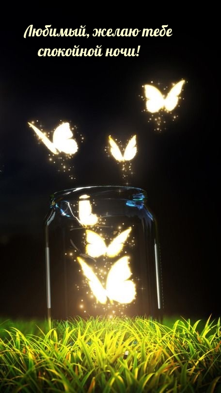 Любимый, желаю тебе спокойной ночи!