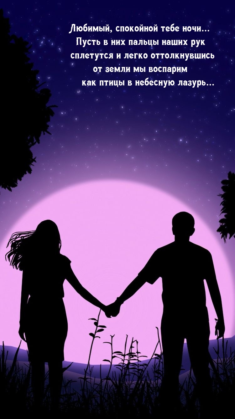 Любимый, спокойной тебе ночи… 