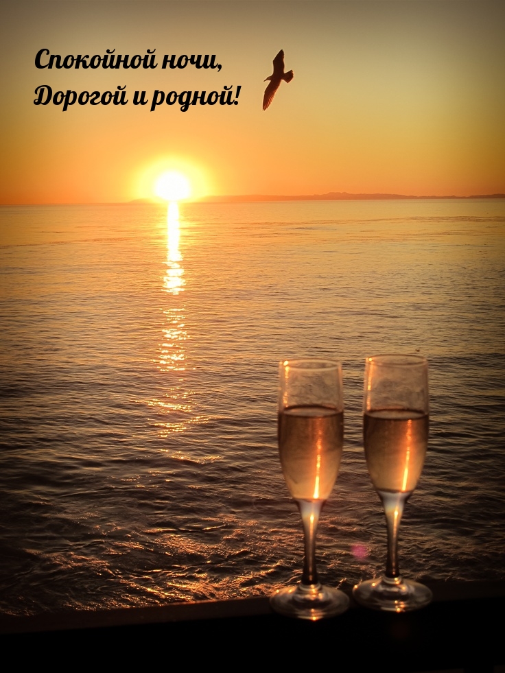 Спокойной ночи, дорогой и родной!